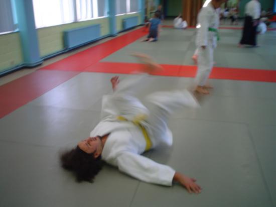 2006