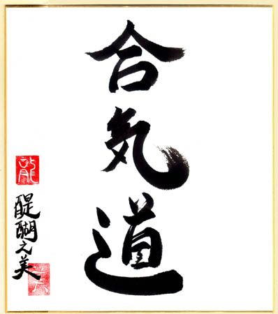 aikido1.jpg
